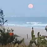 Rio Zen
